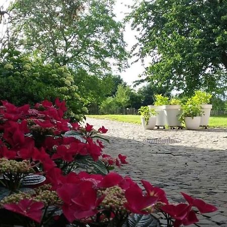 Country House Clos Des Hortensias Blegny Esterno foto