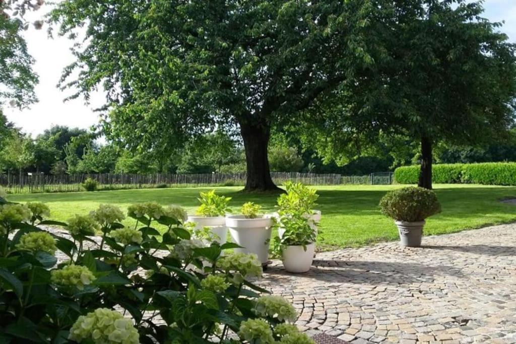 Country House Clos Des Hortensias Blegny Esterno foto